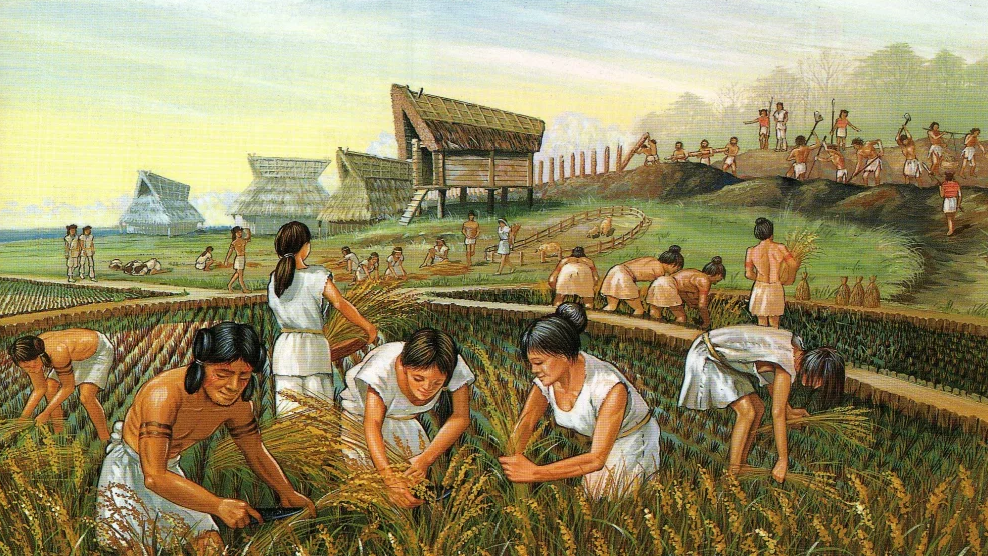 traditional cultivation