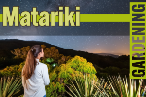 Matariki